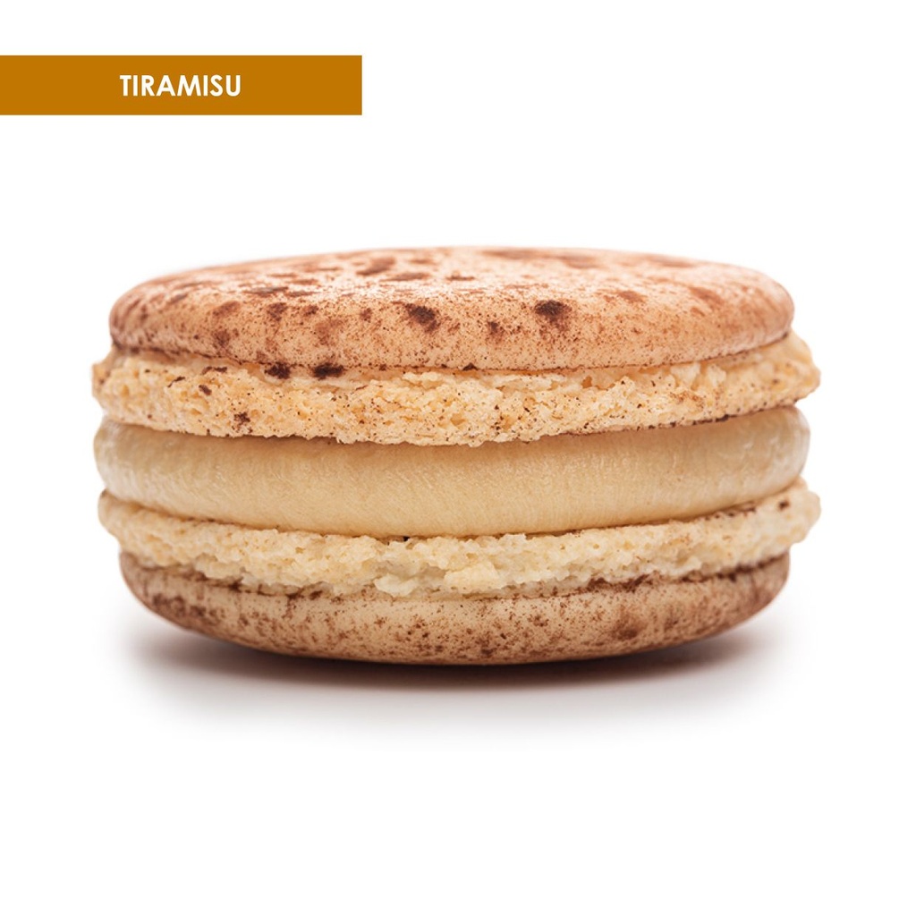 Tiramisu doos 50 stuks