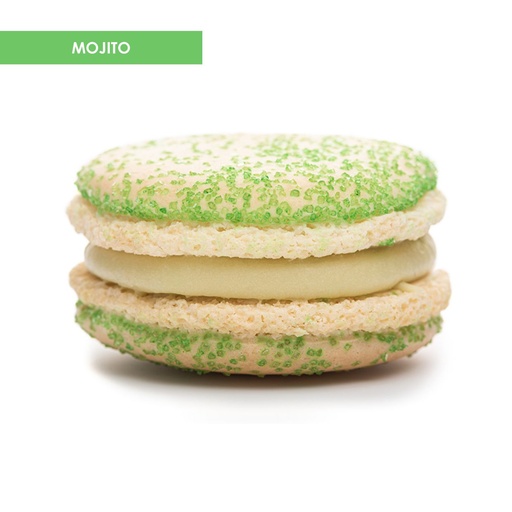 [mojito] Mojito doos 50 stuks